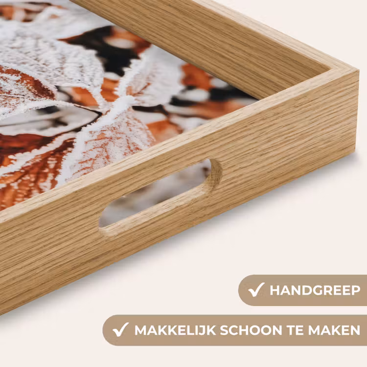 Bladeren - IJs - Winter - Natuur Dienblad Rechthoek middel -USP_HandgreepNL