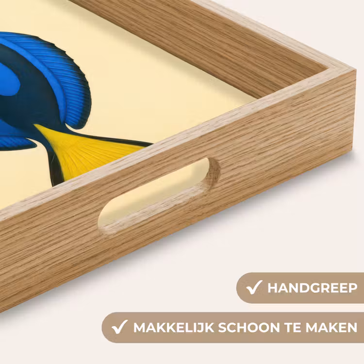 Blauw - Dory - Vis - Staartvin Dienblad Rechthoek middel -USP_HandgreepNL