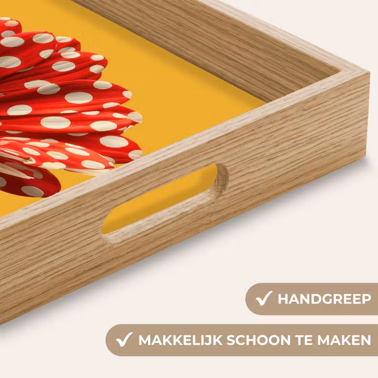 Bloem - Rood - Stippen Dienblad Rechthoek middel -USP_HandgreepNL
