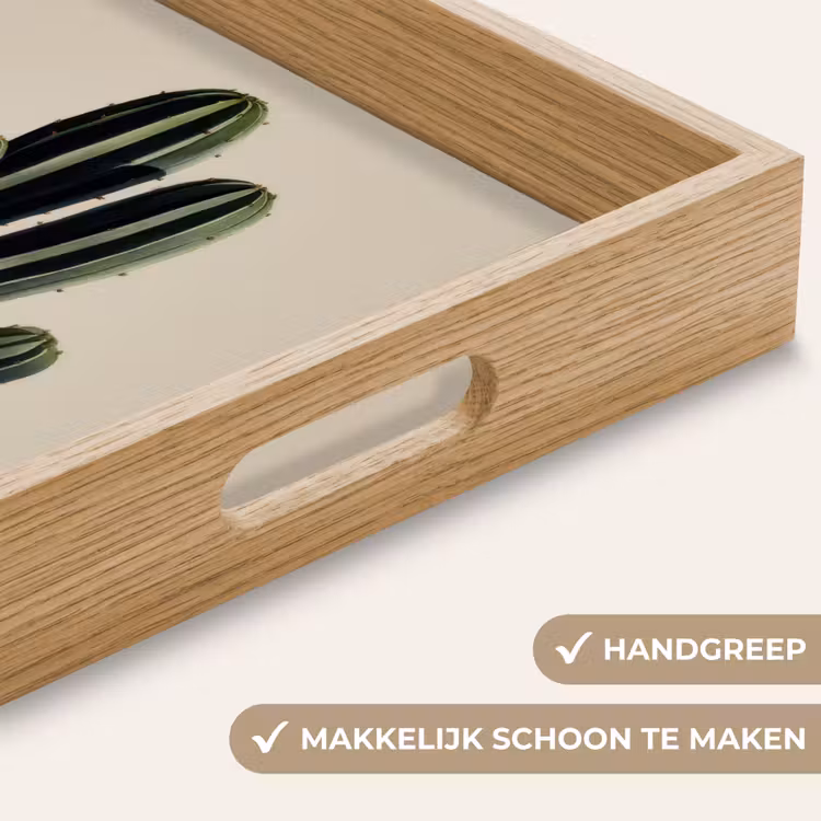 Cactus - Subtiel - Groen Dienblad Rechthoek middel -USP_HandgreepNL