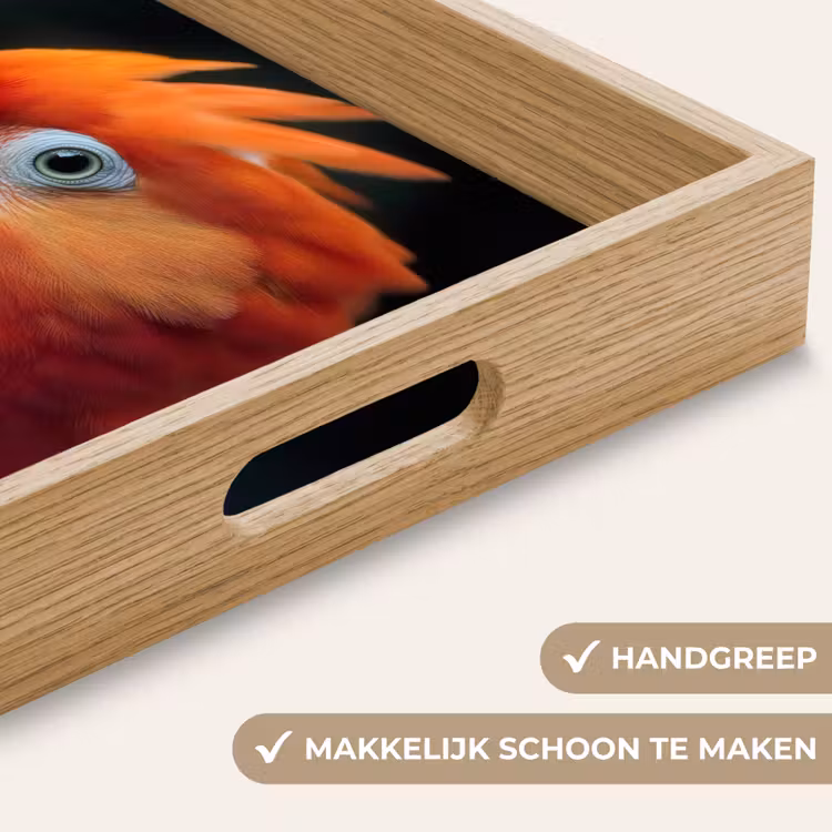 Close-up - Papegaai - Veren - Oranje Dienblad Rechthoek middel -USP_HandgreepNL