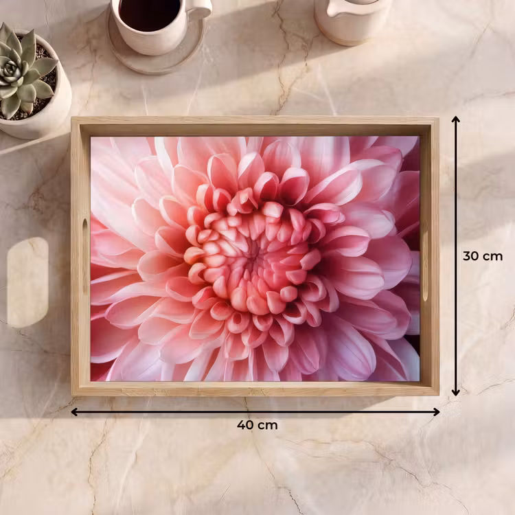 Dahlia - Bloem - Close up - Roze Dienblad Rechthoek middel -USP_Formaat