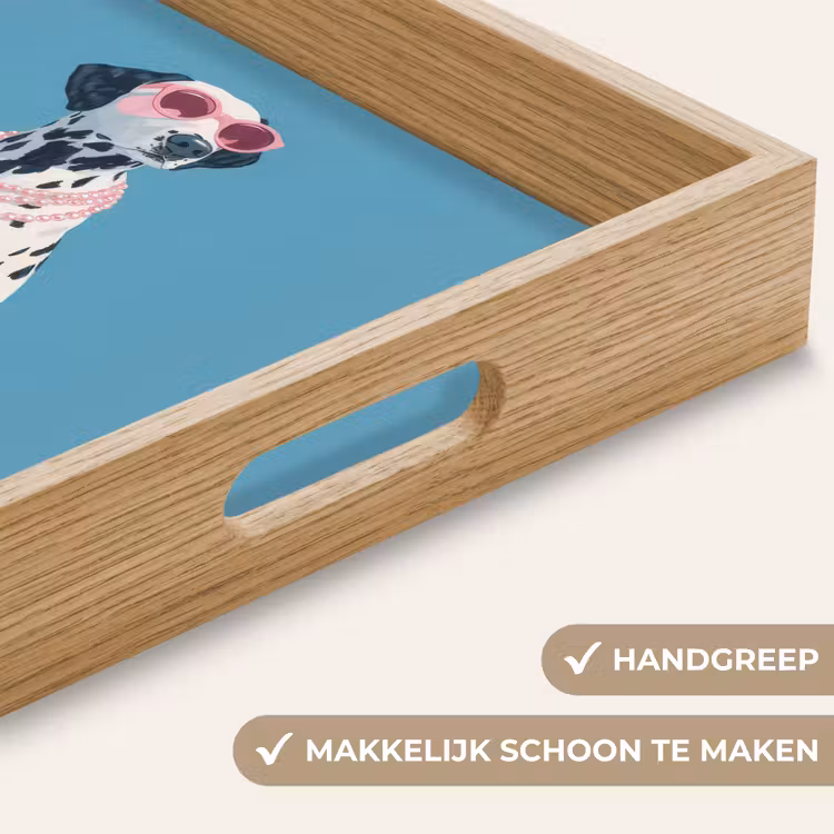 Dalmatiër - Zonnebril - Blauw Dienblad Rechthoek middel -USP_HandgreepNL