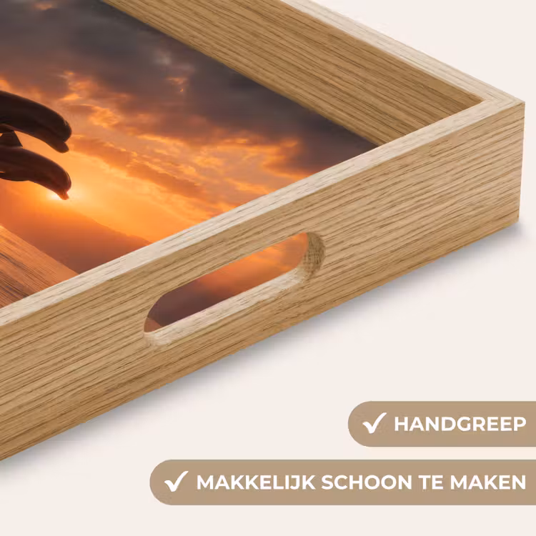 Dolfijnen - Zee - Realistisch Dienblad Rechthoek middel -USP_HandgreepNL