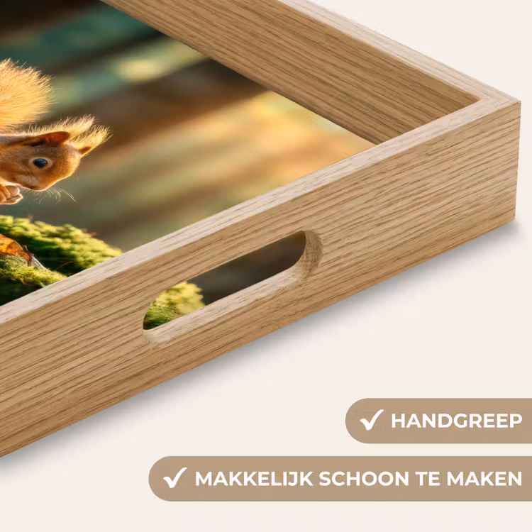 Eekhoorn - Nootje - Gras Dienblad Rechthoek middel -USP_HandgreepNL