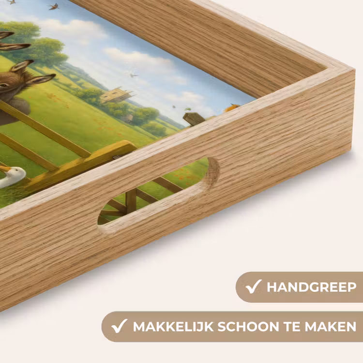 Ezels - Ganzen - Kleurrijk Dienblad Rechthoek middel -USP_HandgreepNL