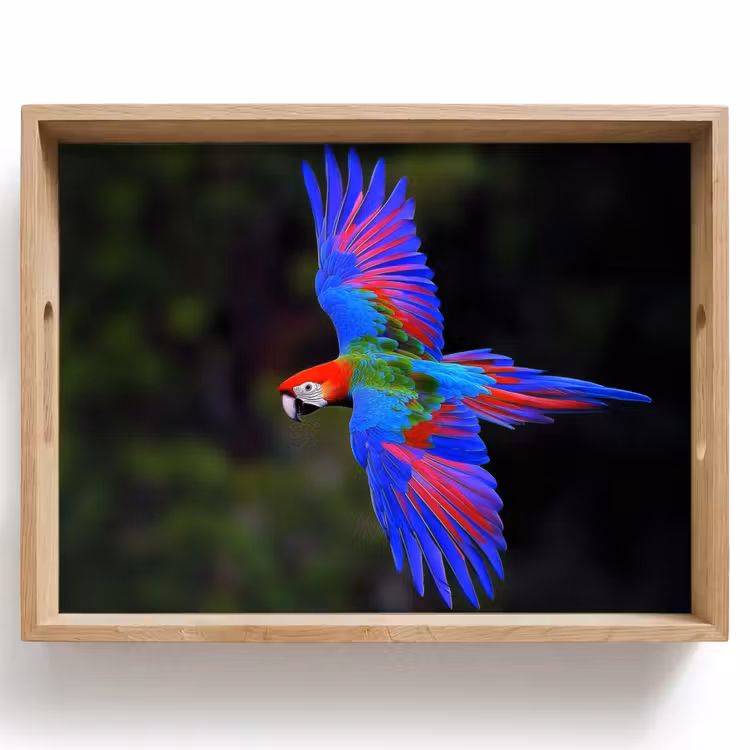Felgekleurd - Papegaai - Bos - Vleugels Dienblad Rechthoek middel -z3d_shopping