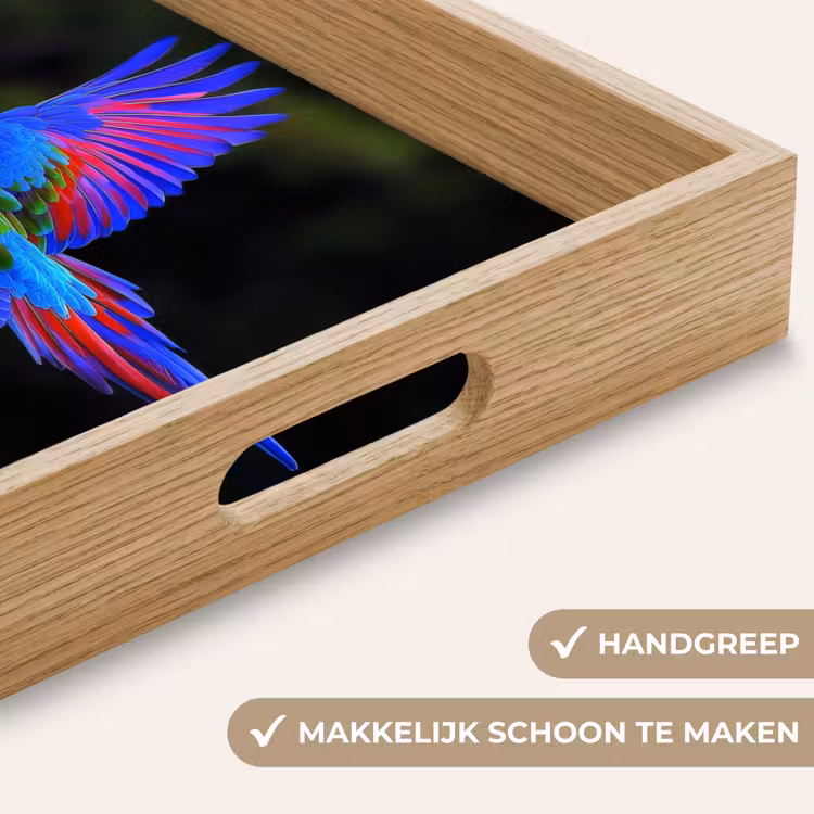 Felgekleurd - Papegaai - Bos - Vleugels Dienblad Rechthoek middel -USP_HandgreepNL
