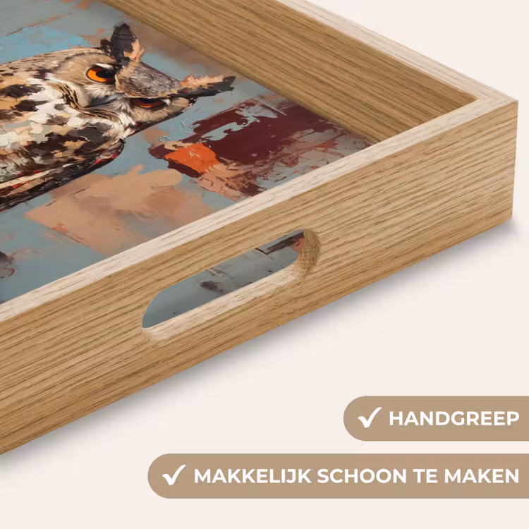 Geschilderd - Abstract - Uil - Bruin Dienblad Rechthoek middel -USP_HandgreepNL