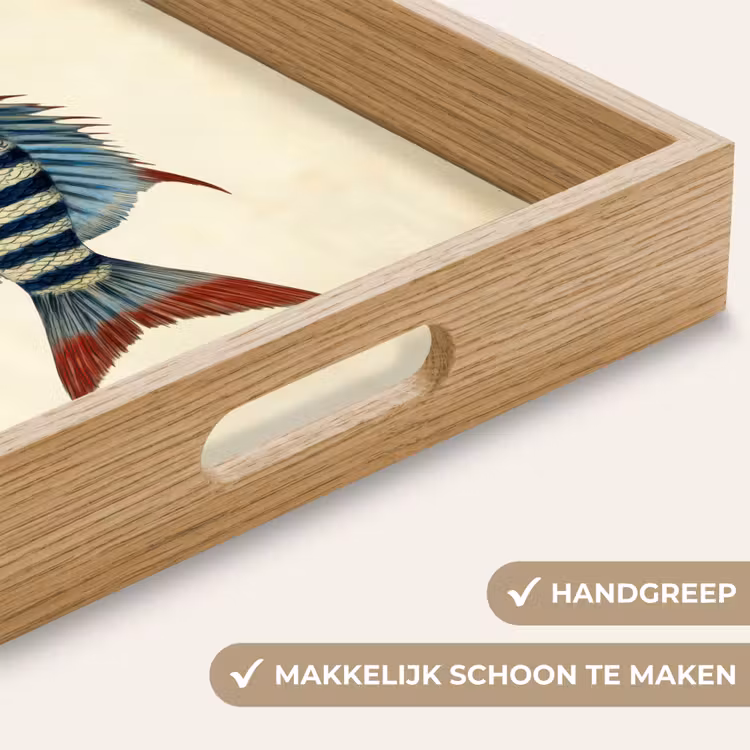 Gestreept - Donkerblauw - Rugvin - Vis Dienblad Rechthoek middel -USP_HandgreepNL