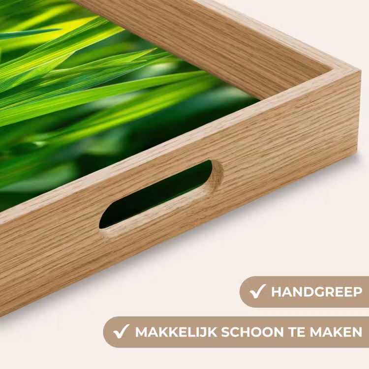 Grassprieten - Lichtinval - Groen Dienblad Rechthoek middel -USP_HandgreepNL