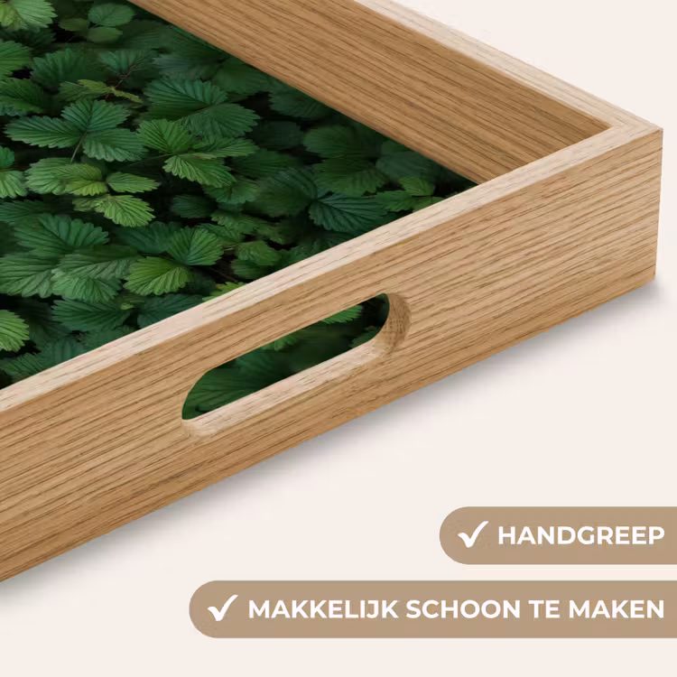 Groen - Bladeren - Kartel - Zonlicht Dienblad Rechthoek middel -USP_HandgreepNL