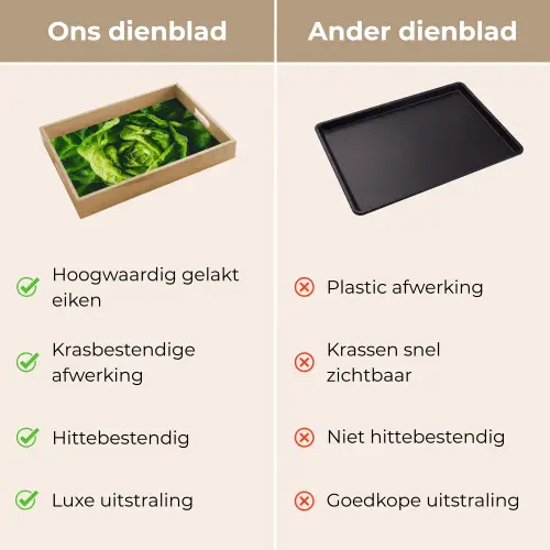 Groente - Sla - Groen Dienblad Rechthoek middel -USP_VergelijkingNL