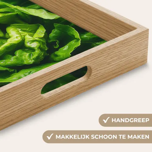 Groente - Sla - Groen Dienblad Rechthoek middel -USP_HandgreepNL