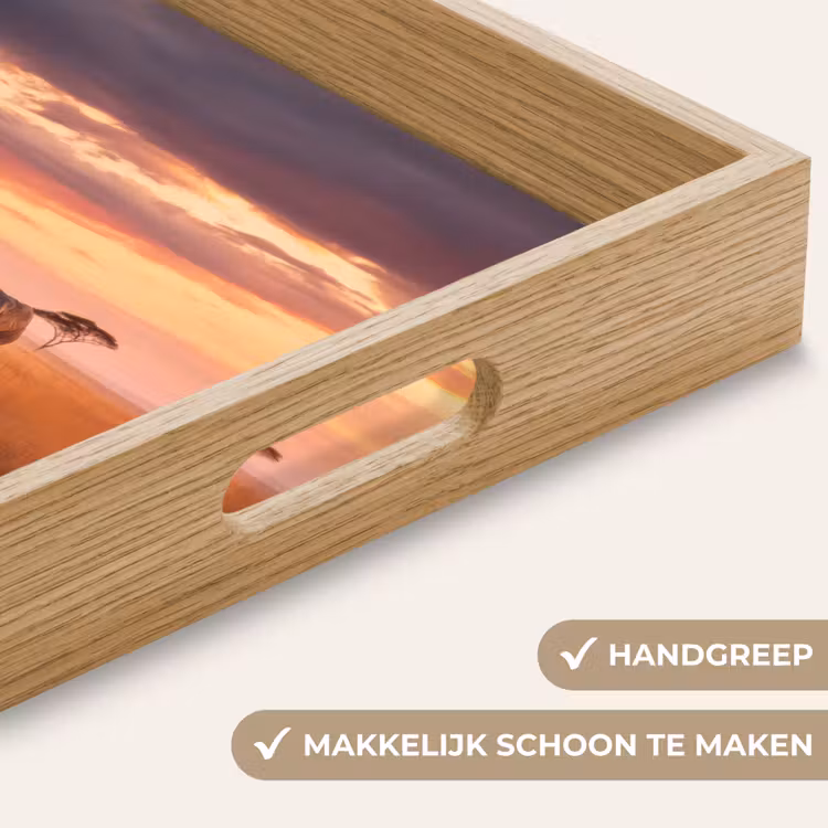 Groep olifanten - Open vlakte - Zon Dienblad Rechthoek middel -USP_HandgreepNL