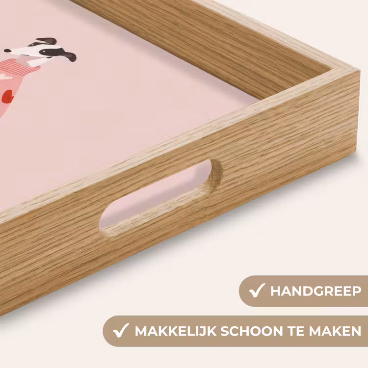 Hond - Hartjes - Roze Dienblad Rechthoek middel -USP_HandgreepNL