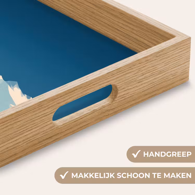 Huis - Berglandschap -  Sneeuw Dienblad Rechthoek middel -USP_HandgreepNL
