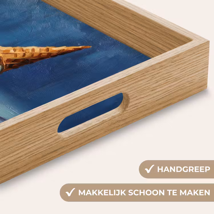 Ijshoorn - Bolletjes - Smelt - Roze Dienblad Rechthoek middel -USP_HandgreepNL