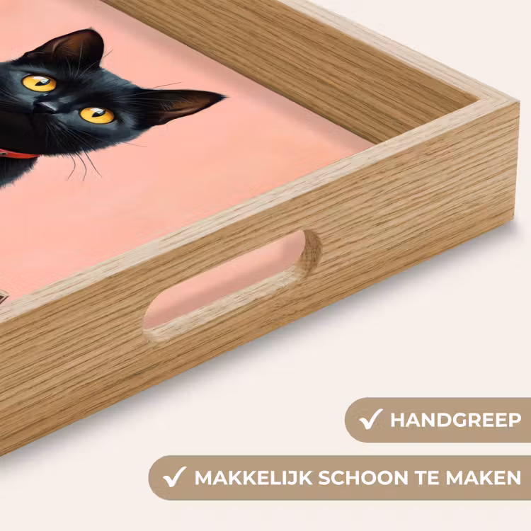 Kat - Pompoen - Roze Dienblad Rechthoek middel -USP_HandgreepNL
