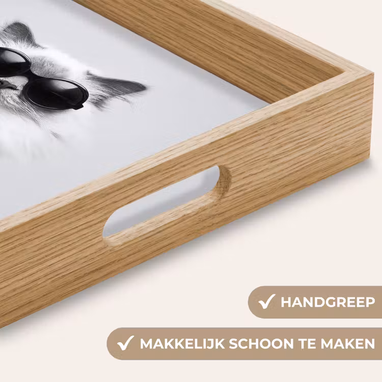 Kat - Zonnebril - Wijnglas - Langharig Dienblad Rechthoek middel -USP_HandgreepNL