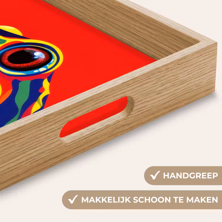 Kikker - Kleurrijk - Strepen - Ogen Dienblad Rechthoek middel -USP_HandgreepNL