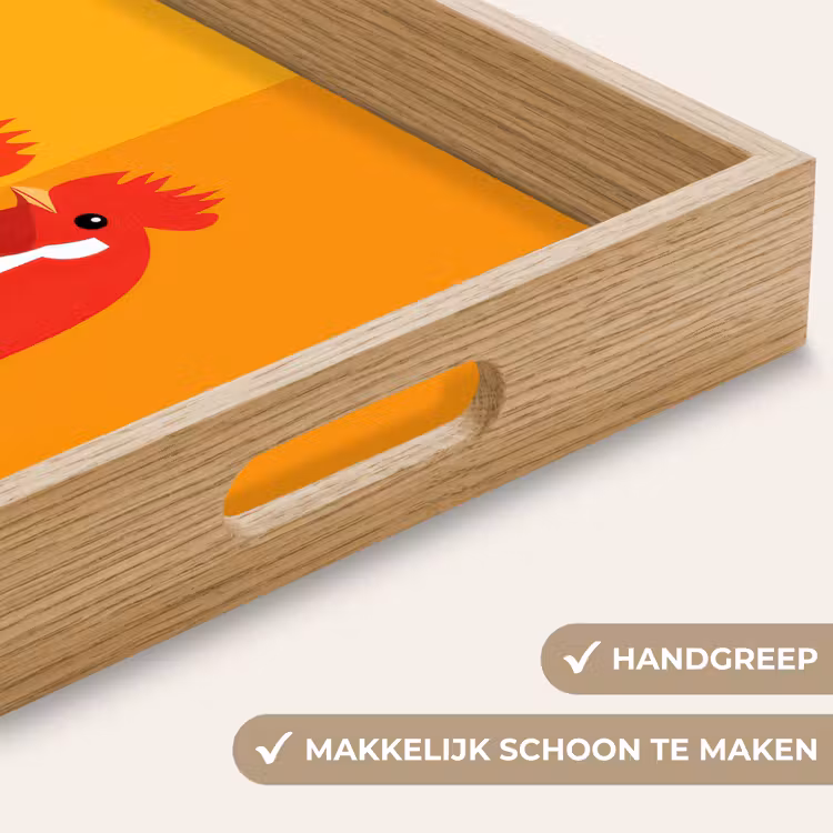 Kippen - Oranje - Vlakken Dienblad Rechthoek middel -USP_HandgreepNL