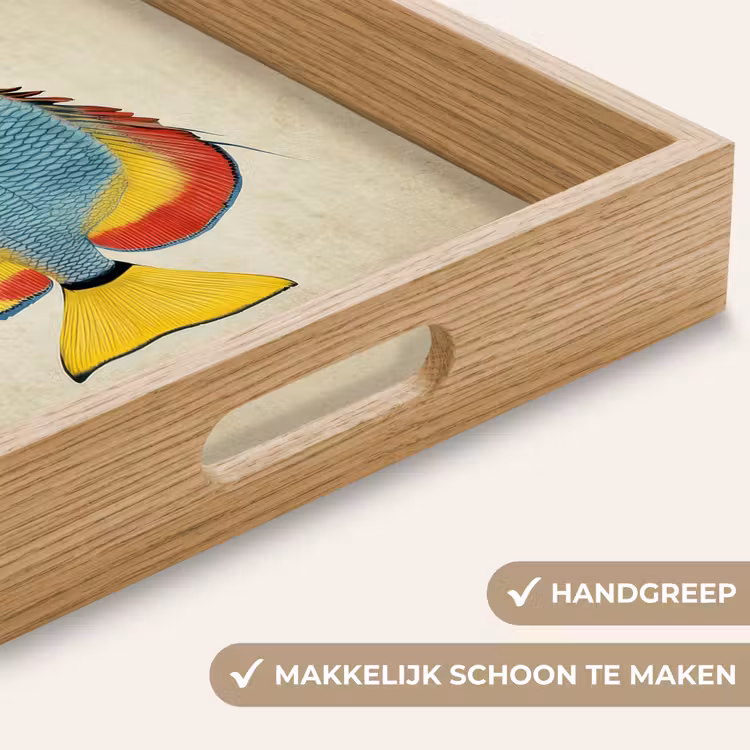 Kleurrijk - Vis - Schubben - Illustratie Dienblad Rechthoek middel -USP_HandgreepNL