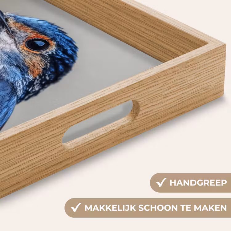 Kleurrijk - Vogeltje - Veren - Blauw Dienblad Rechthoek middel -USP_HandgreepNL