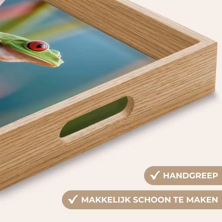 Kleurrijke kikker - Groene stengel - Alert Dienblad Rechthoek middel -USP_HandgreepNL