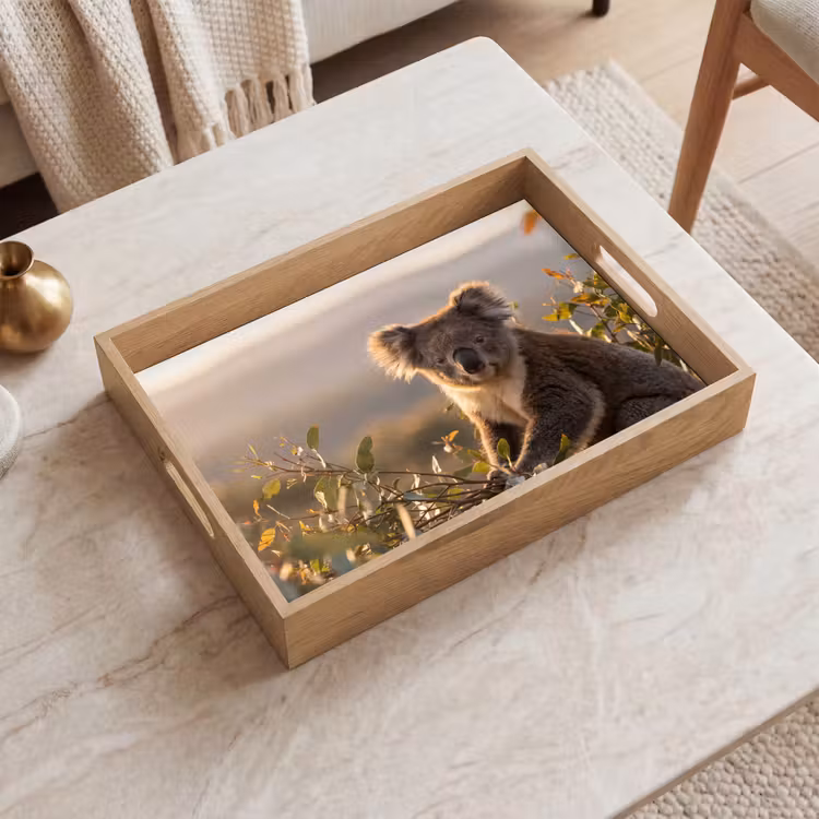 Koala - Bladeren - Ochtendlicht Dienblad Rechthoek middel -sfeer1