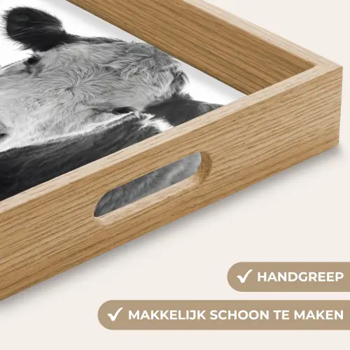 Koeien - Zwart - Wit Dienblad Rechthoek middel -USP_HandgreepNL