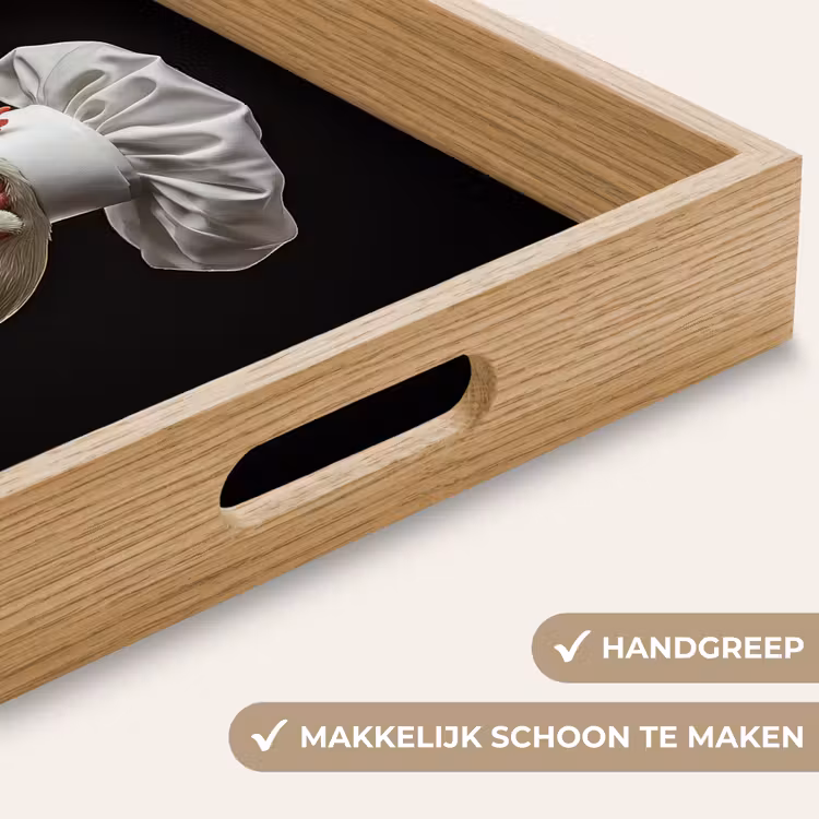 Kok - Rood - Kip Dienblad Rechthoek middel -USP_HandgreepNL