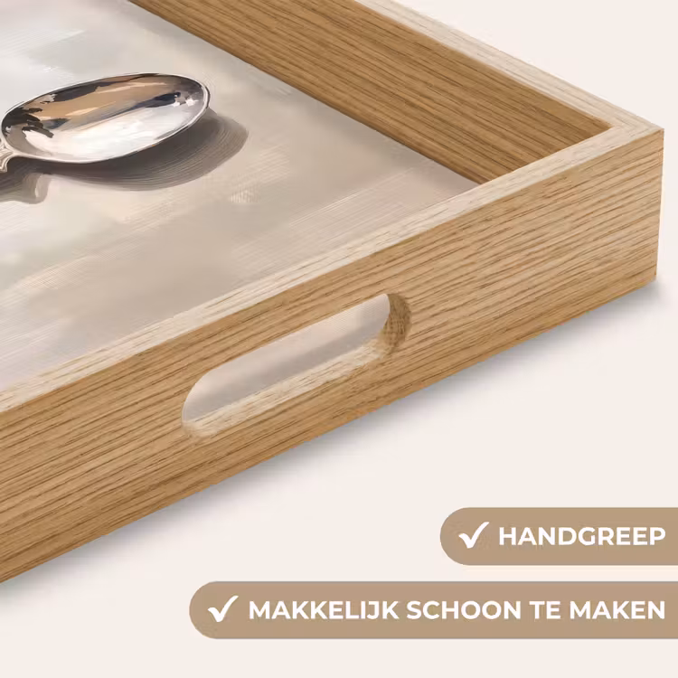 Lepel - Verf - Zilver Dienblad Rechthoek middel -USP_HandgreepNL