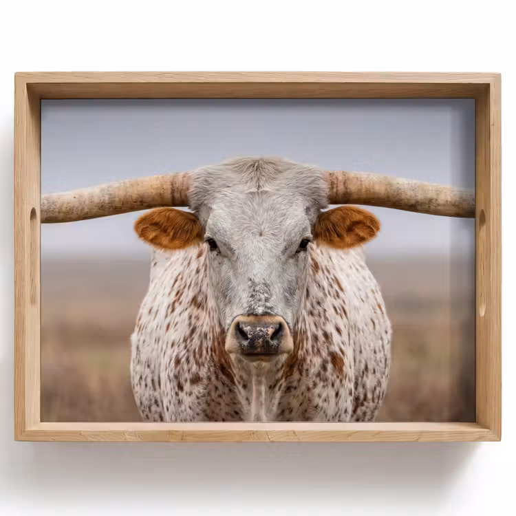 Longhorn - Grasveld - Dier Dienblad Rechthoek middel -z3d_shopping