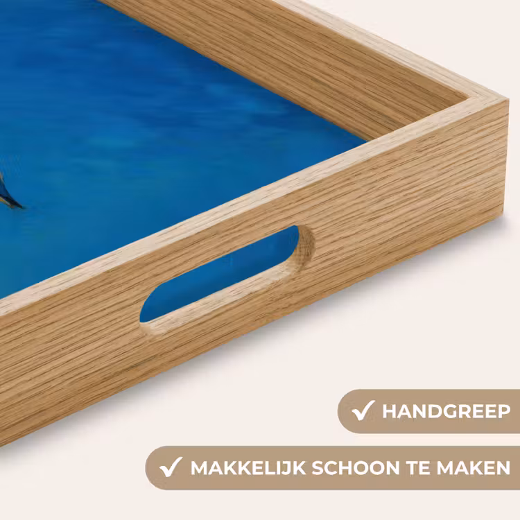 Meeuw - Gebouw - Lucht - Geschilderd Dienblad Rechthoek middel -USP_HandgreepNL