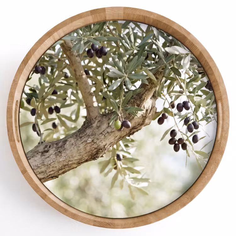 Dienblad - Olijfboom - tak - groen - Olijfboom - tak - groen Dienblad Rond middel