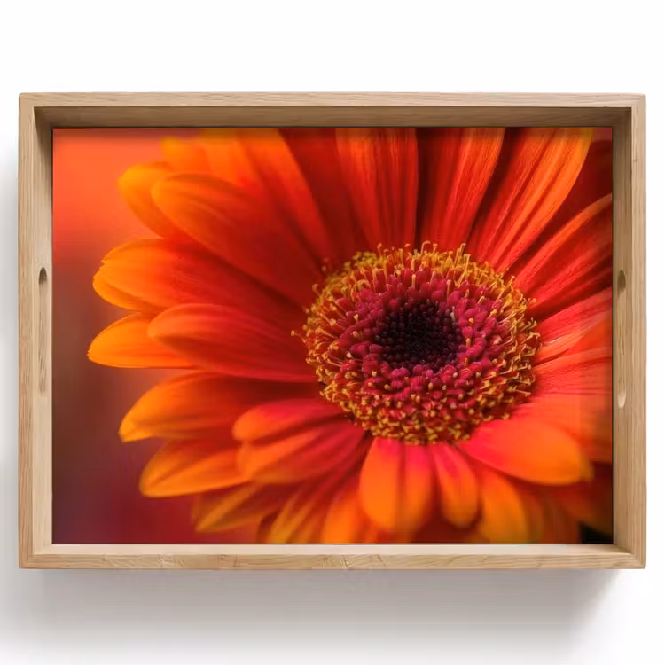 Oranje - Gerbera - Intens Dienblad Rechthoek middel -z3d_shopping