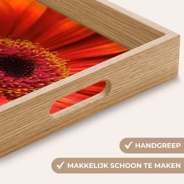 Oranje - Gerbera - Intens Dienblad Rechthoek middel -USP_HandgreepNL