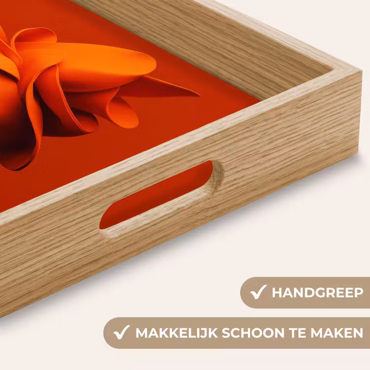 Oranje - Hoed - Vrouw Dienblad Rechthoek middel -USP_HandgreepNL