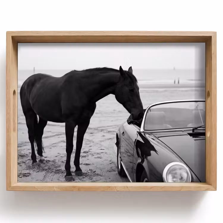Paard - Auto - Zwart - Wit Dienblad Rechthoek middel -z3d_shopping