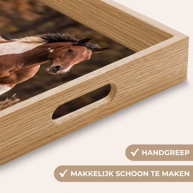 Paard - Bruin - Gras Dienblad Rechthoek middel -USP_HandgreepNL