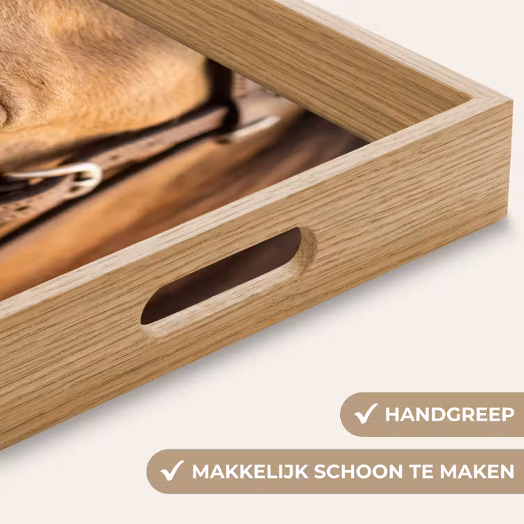 Paard - Oog - Bruin Dienblad Rechthoek middel -USP_HandgreepNL