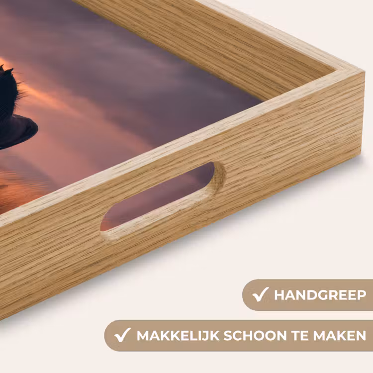Paard - Wolken - Open veld Dienblad Rechthoek middel -USP_HandgreepNL