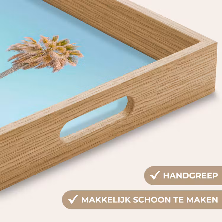 Palmboom - Strandhuis - Roze Dienblad Rechthoek middel -USP_HandgreepNL