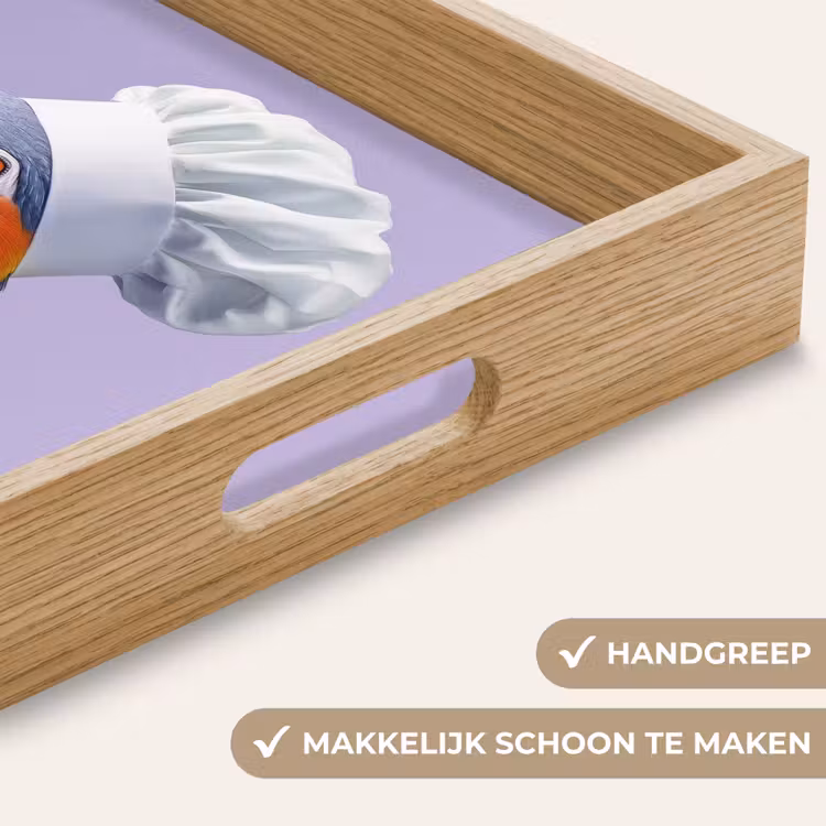 Papegaai - Koksmuts - Paars - Cute Dienblad Rechthoek middel -USP_HandgreepNL
