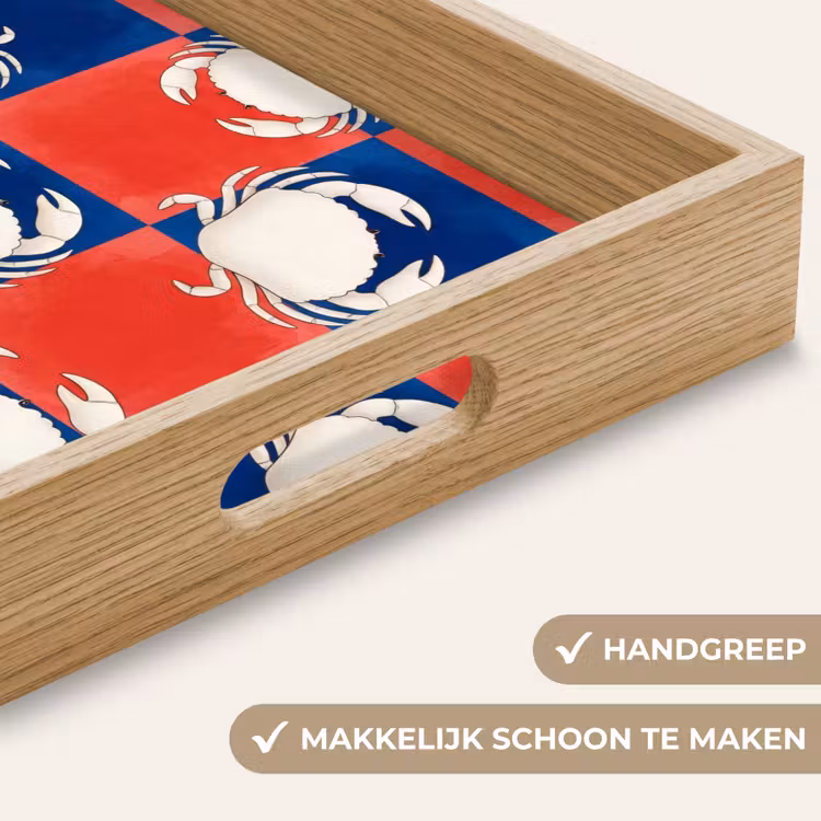 Patroon - Zeeleven - Rood - Blauw - Abstract Dienblad Rechthoek middel -USP_HandgreepNL
