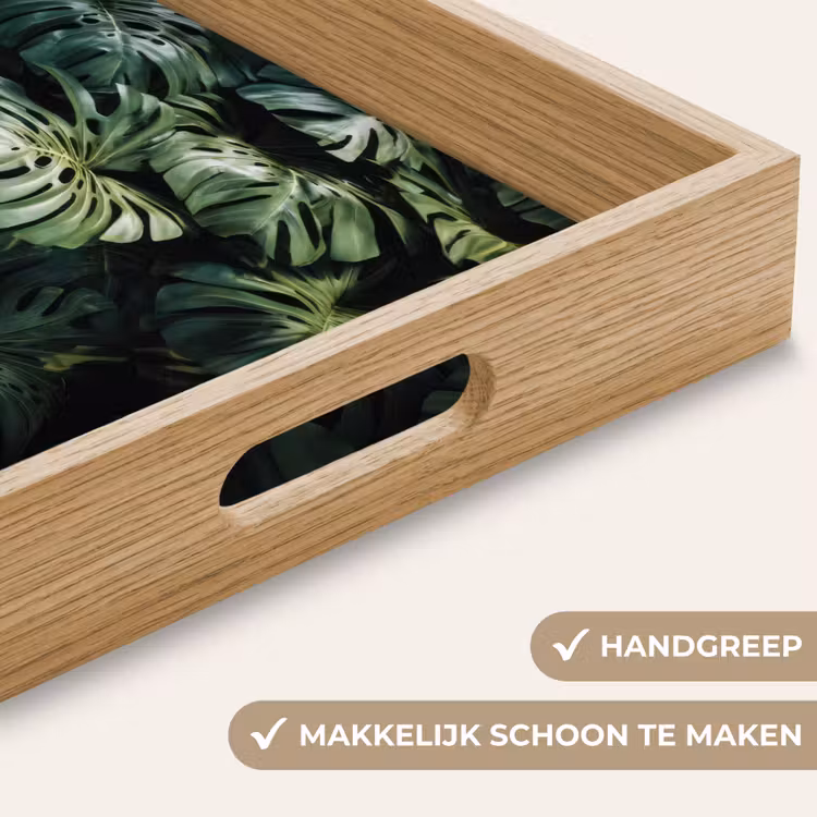 Plant - Monstera - Lichtinval Dienblad Rechthoek middel -USP_HandgreepNL
