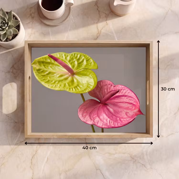 Planten - Anthurium - Groen - Roze Dienblad Rechthoek middel -USP_Formaat