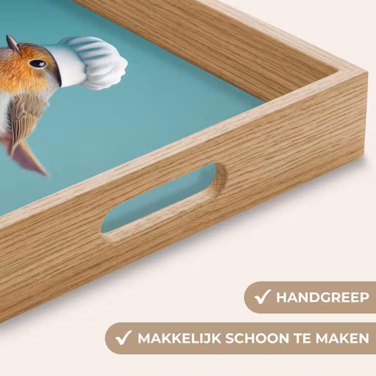 Roodborstje - Vogel - Koksmuts - Sokkel Dienblad Rechthoek middel -USP_HandgreepNL