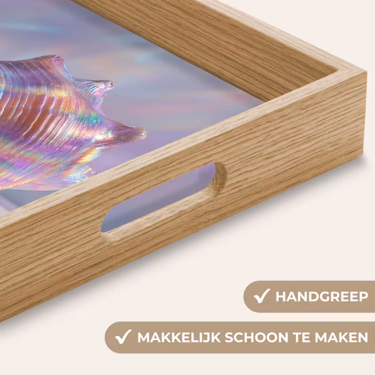 Schelp - Glanzend - Regenboogtinten Dienblad Rechthoek middel -USP_HandgreepNL